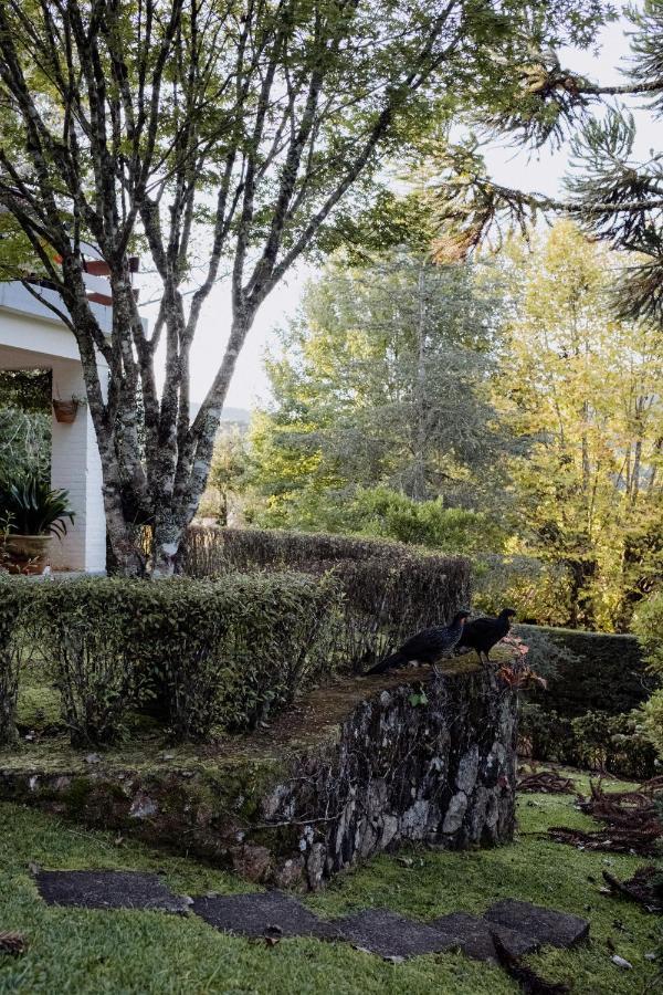 Cabana Mimosa Monte Verde  Exteriér fotografie